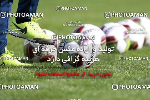 949086, Tehran, , Persepolis Football Team Training Session on 2017/11/22 at 