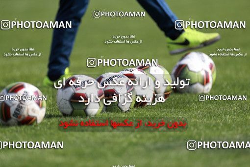 949260, Tehran, , Persepolis Football Team Training Session on 2017/11/22 at 