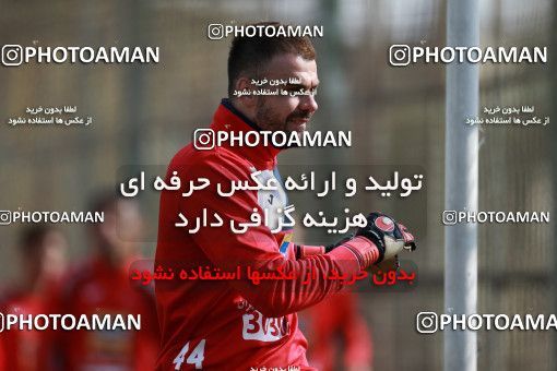 949207, Tehran, , Persepolis Football Team Training Session on 2017/11/22 at 