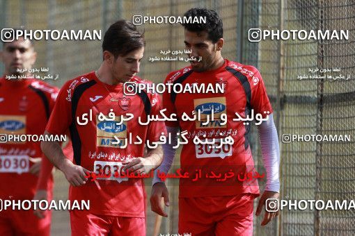 949315, Tehran, , Persepolis Football Team Training Session on 2017/11/22 at 