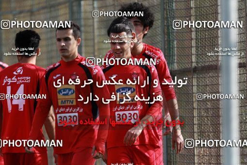 949149, Tehran, , Persepolis Football Team Training Session on 2017/11/22 at 