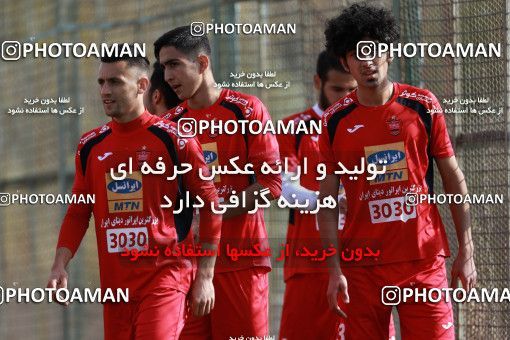 949016, Tehran, , Persepolis Football Team Training Session on 2017/11/22 at 