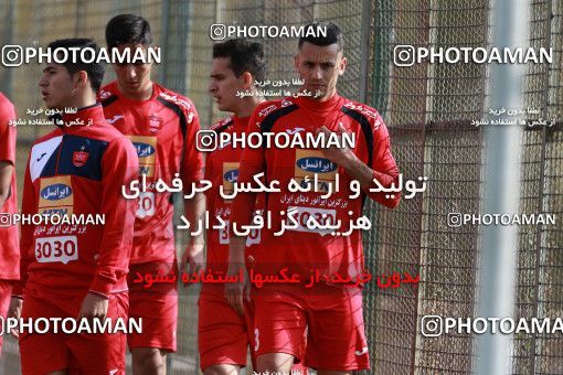 949166, Tehran, , Persepolis Football Team Training Session on 2017/11/22 at 