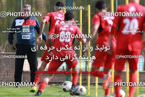 949303, Tehran, , Persepolis Football Team Training Session on 2017/11/22 at 