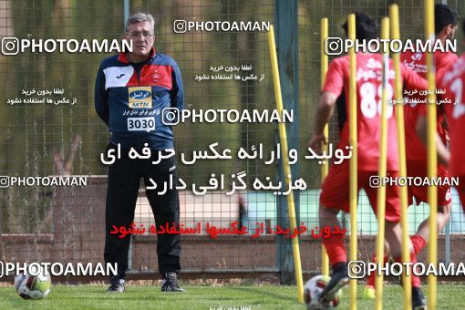 949241, Tehran, , Persepolis Football Team Training Session on 2017/11/22 at 