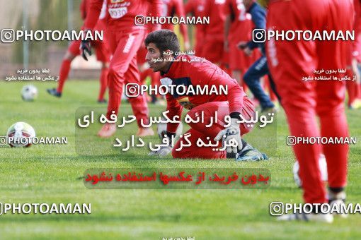 948964, Tehran, , Persepolis Football Team Training Session on 2017/11/22 at 