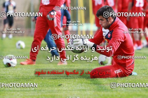 949120, Tehran, , Persepolis Football Team Training Session on 2017/11/22 at 