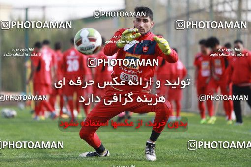 949366, Tehran, , Persepolis Football Team Training Session on 2017/11/22 at 