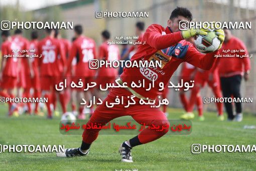 949261, Tehran, , Persepolis Football Team Training Session on 2017/11/22 at 