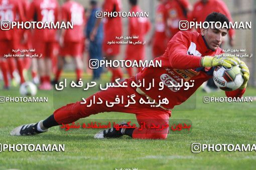 949252, Tehran, , Persepolis Football Team Training Session on 2017/11/22 at 