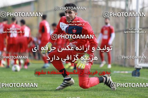 949222, Tehran, , Persepolis Football Team Training Session on 2017/11/22 at 