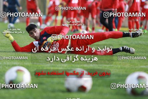 949464, Tehran, , Persepolis Football Team Training Session on 2017/11/22 at 