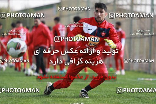 949133, Tehran, , Persepolis Football Team Training Session on 2017/11/22 at 