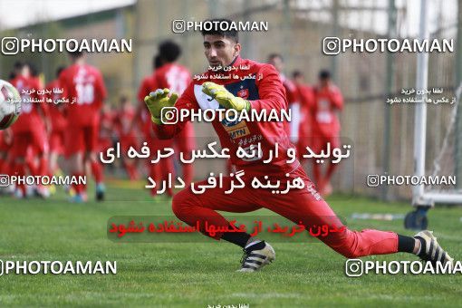 949344, Tehran, , Persepolis Football Team Training Session on 2017/11/22 at 
