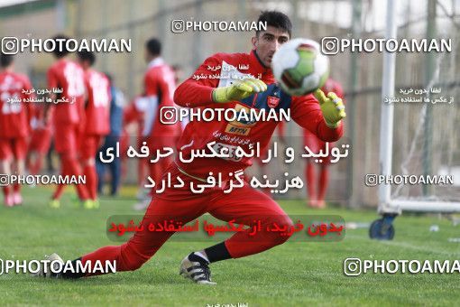 949044, Tehran, , Persepolis Football Team Training Session on 2017/11/22 at 