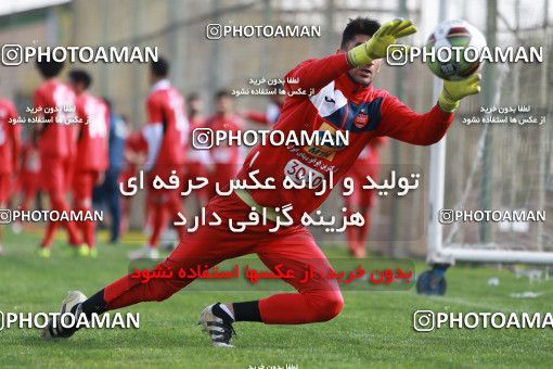 948994, Tehran, , Persepolis Football Team Training Session on 2017/11/22 at 