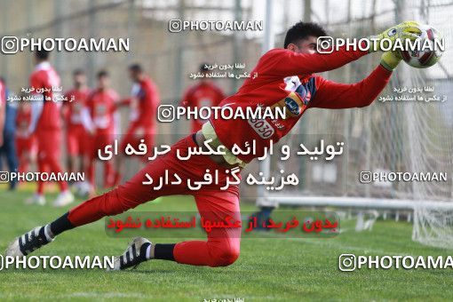 949095, Tehran, , Persepolis Football Team Training Session on 2017/11/22 at 