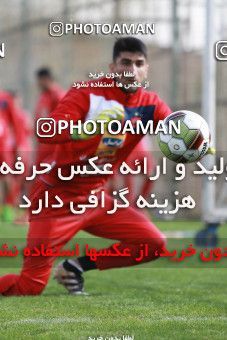 948991, Tehran, , Persepolis Football Team Training Session on 2017/11/22 at 