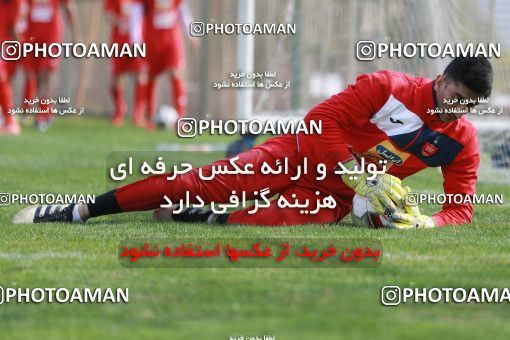 949251, Tehran, , Persepolis Football Team Training Session on 2017/11/22 at 