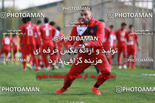 949288, Tehran, , Persepolis Football Team Training Session on 2017/11/22 at 