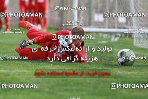949192, Tehran, , Persepolis Football Team Training Session on 2017/11/22 at 