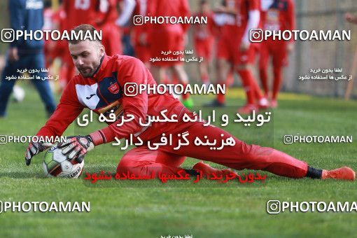 948981, Tehran, , Persepolis Football Team Training Session on 2017/11/22 at 