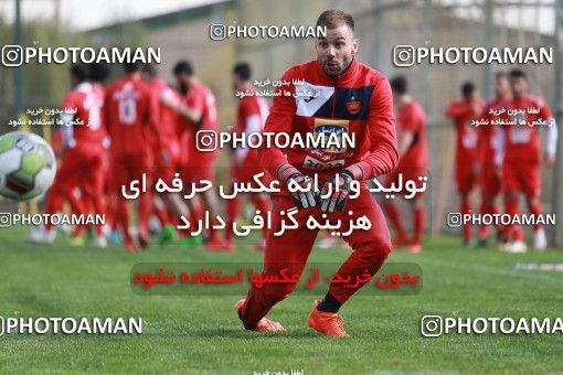 949069, Tehran, , Persepolis Football Team Training Session on 2017/11/22 at 