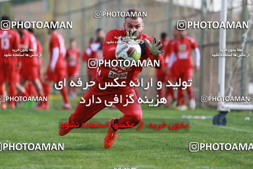 948851, Tehran, , Persepolis Football Team Training Session on 2017/11/22 at 