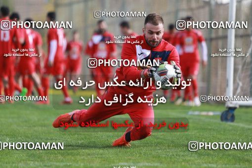 949293, Tehran, , Persepolis Football Team Training Session on 2017/11/22 at 