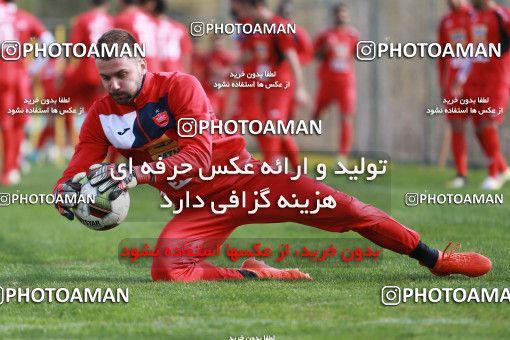 949006, Tehran, , Persepolis Football Team Training Session on 2017/11/22 at 