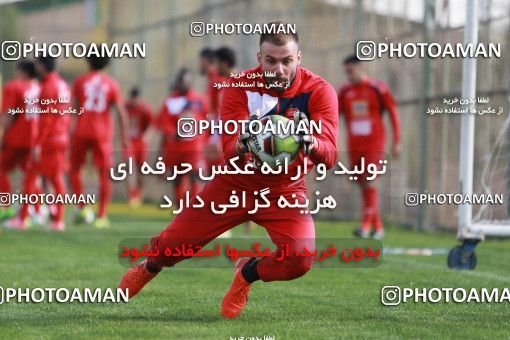 949186, Tehran, , Persepolis Football Team Training Session on 2017/11/22 at 