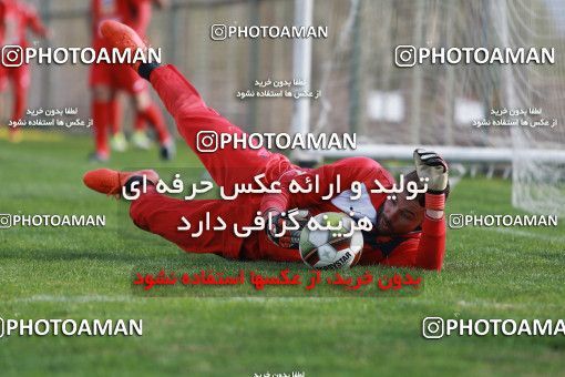 948766, Tehran, , Persepolis Football Team Training Session on 2017/11/22 at 
