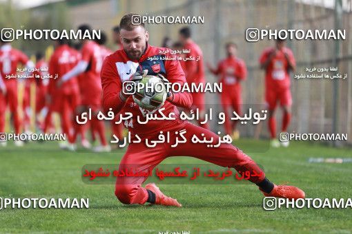 949248, Tehran, , Persepolis Football Team Training Session on 2017/11/22 at 