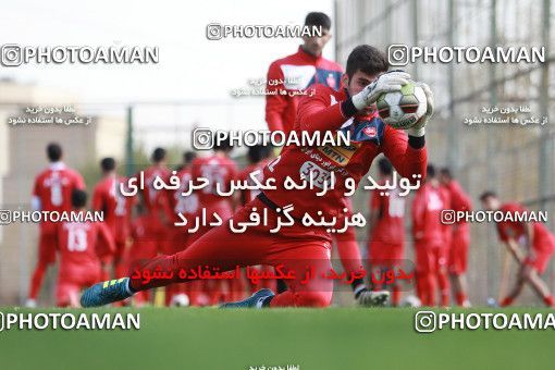 949108, Tehran, , Persepolis Football Team Training Session on 2017/11/22 at 