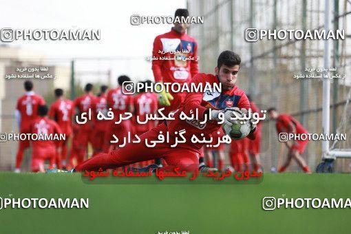 949290, Tehran, , Persepolis Football Team Training Session on 2017/11/22 at 