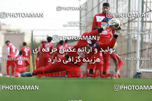 949043, Tehran, , Persepolis Football Team Training Session on 2017/11/22 at 
