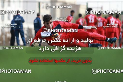 949117, Tehran, , Persepolis Football Team Training Session on 2017/11/22 at 