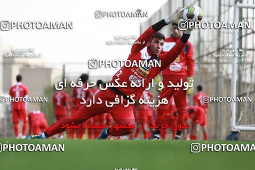 949402, Tehran, , Persepolis Football Team Training Session on 2017/11/22 at 