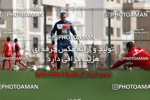 949173, Tehran, , Persepolis Football Team Training Session on 2017/11/22 at 
