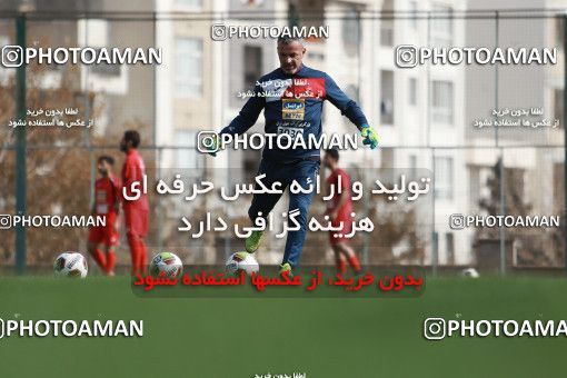 949346, Tehran, , Persepolis Football Team Training Session on 2017/11/22 at 