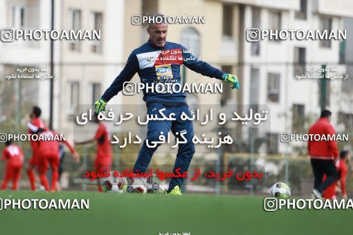 949370, Tehran, , Persepolis Football Team Training Session on 2017/11/22 at 