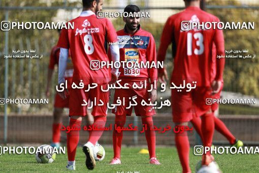 949511, Tehran, , Persepolis Football Team Training Session on 2017/11/22 at 