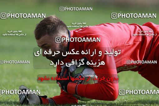 949391, Tehran, , Persepolis Football Team Training Session on 2017/11/22 at 