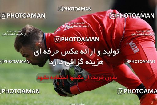 949242, Tehran, , Persepolis Football Team Training Session on 2017/11/22 at 