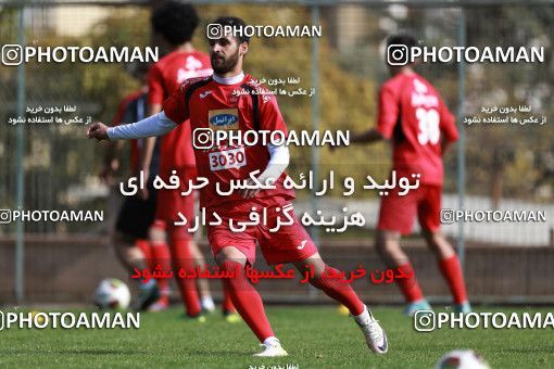 949087, Tehran, , Persepolis Football Team Training Session on 2017/11/22 at 