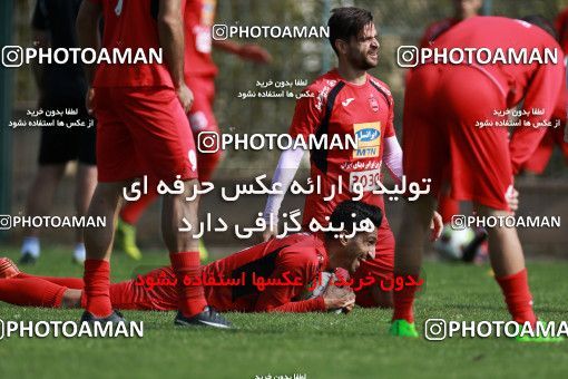 949184, Tehran, , Persepolis Football Team Training Session on 2017/11/22 at 