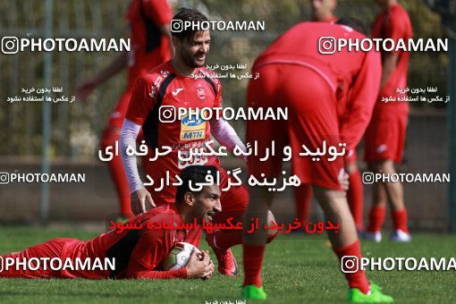 949202, Tehran, , Persepolis Football Team Training Session on 2017/11/22 at 