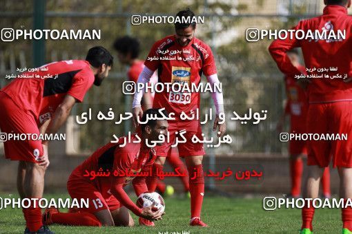 948820, Tehran, , Persepolis Football Team Training Session on 2017/11/22 at 