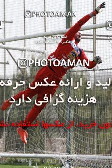 949146, Tehran, , Persepolis Football Team Training Session on 2017/11/22 at 