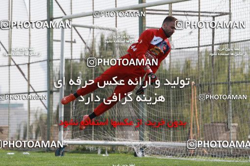949025, Tehran, , Persepolis Football Team Training Session on 2017/11/22 at 